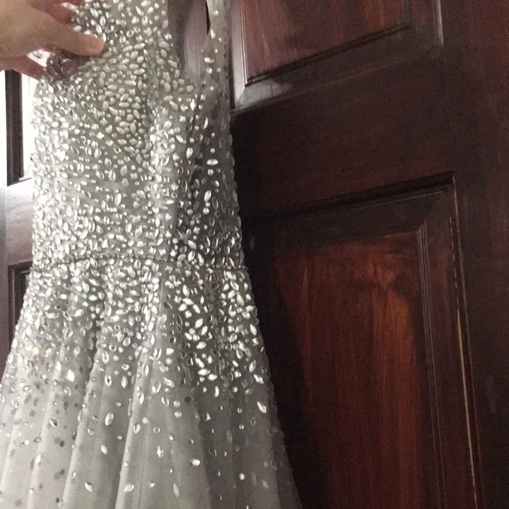 Silver Crystal Embellished Tulle Ball Gown - Picture 6 of 16